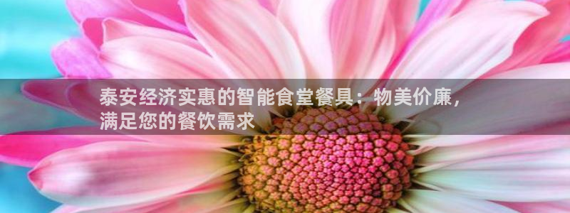 尊龙凯时开发：泰安经济实惠的智能食堂餐具：物美价廉，
满足您