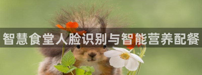 尊龙凯时ag旗舰厅官网客服