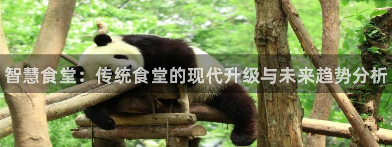 尊龙凯时有假么