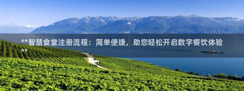 尊龙王t400：**智慧食堂注册流程：简单便捷，助您轻松开启